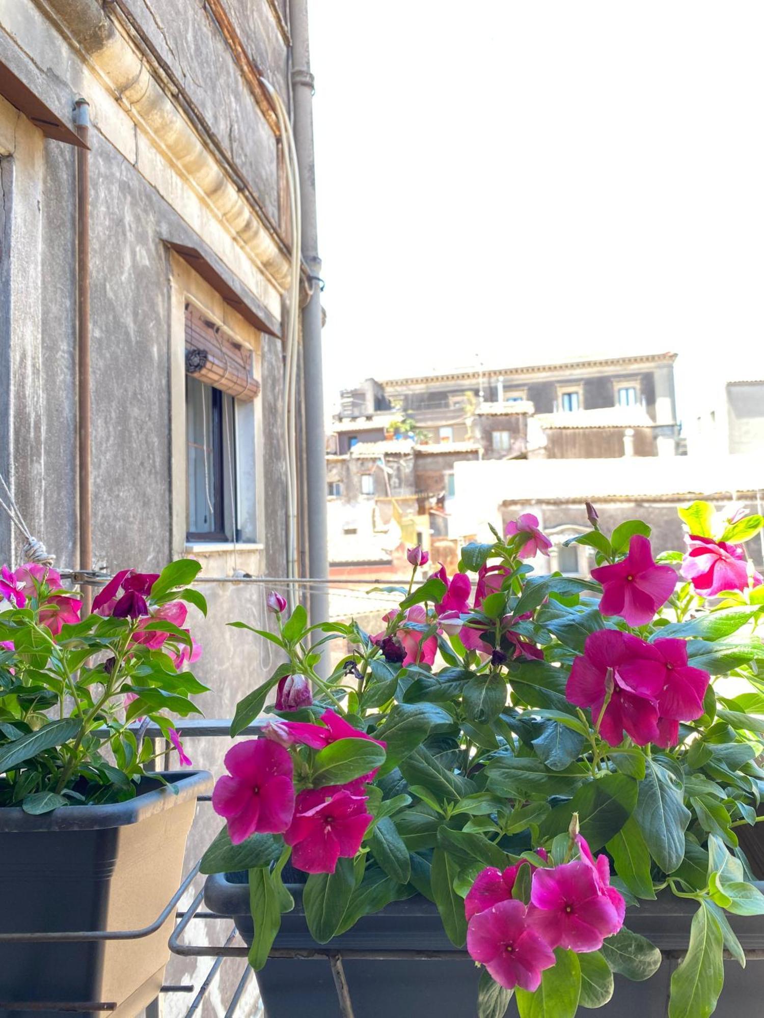 Dimora Dei Minoriti Catânia Exterior foto